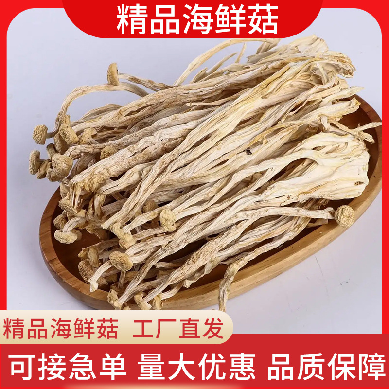 干菌