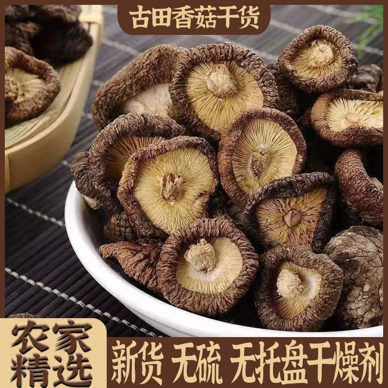 干菌